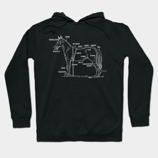 Horse anatomy Hoodie